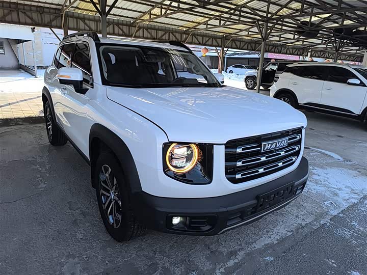 Фото 4 - Haval Dargo