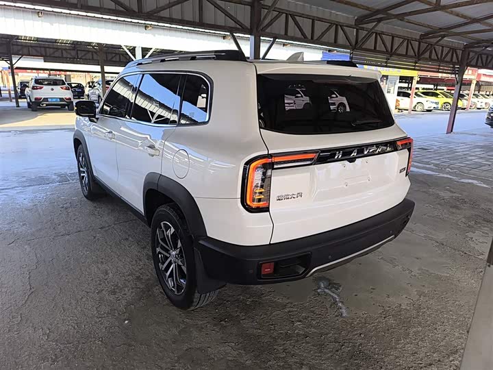 Фото 5 - Haval Dargo