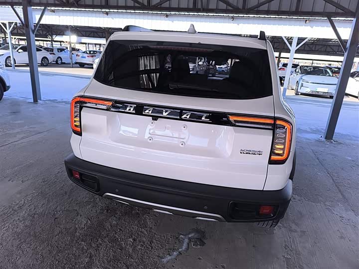 Фото 6 - Haval Dargo