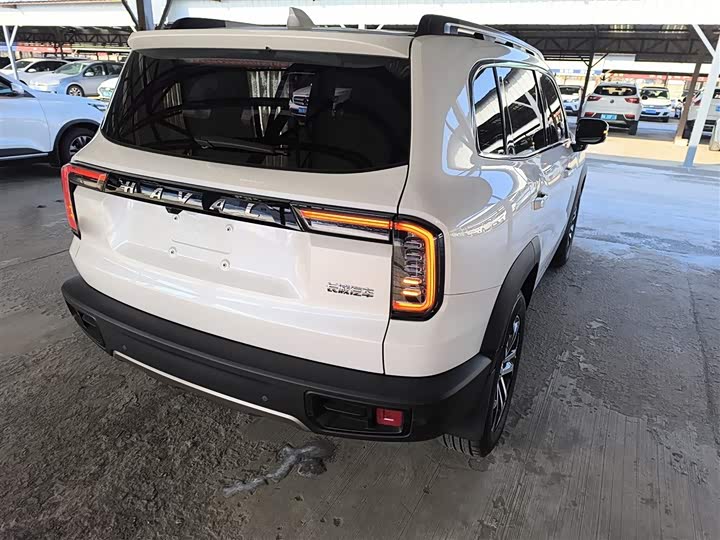 Фото 8 - Haval Dargo