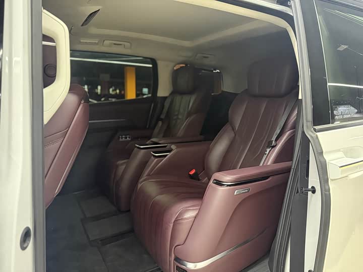 Фото 5 - Buick GL8 Century