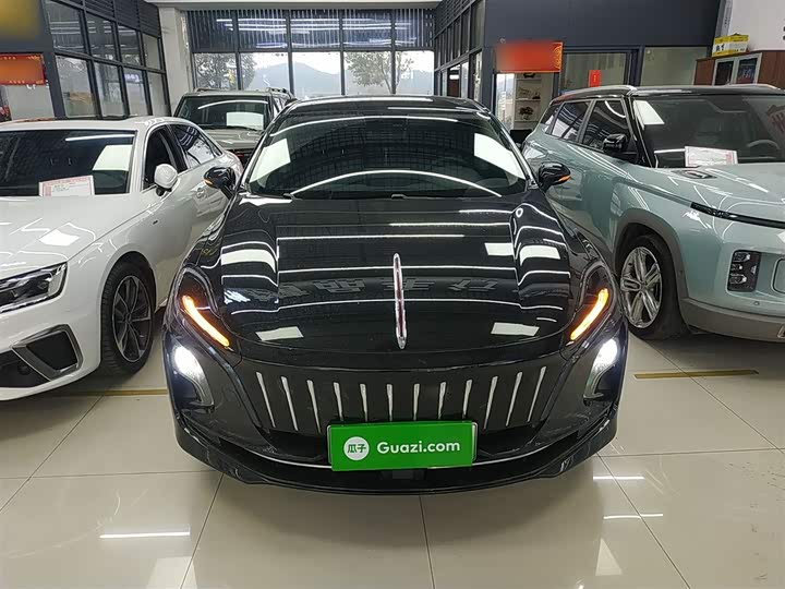 Фото 3 - Hongqi E-QM5