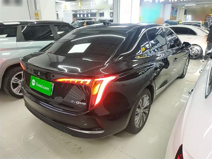 Фото 7 - Hongqi E-QM5