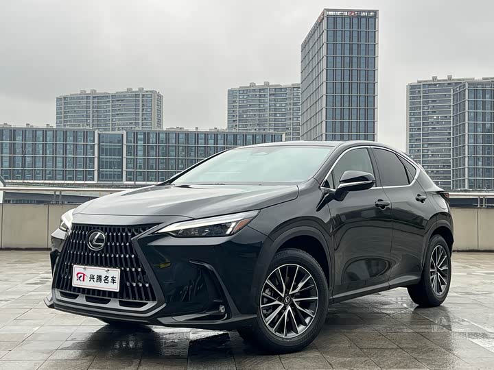 Фото 1 - Lexus NX
