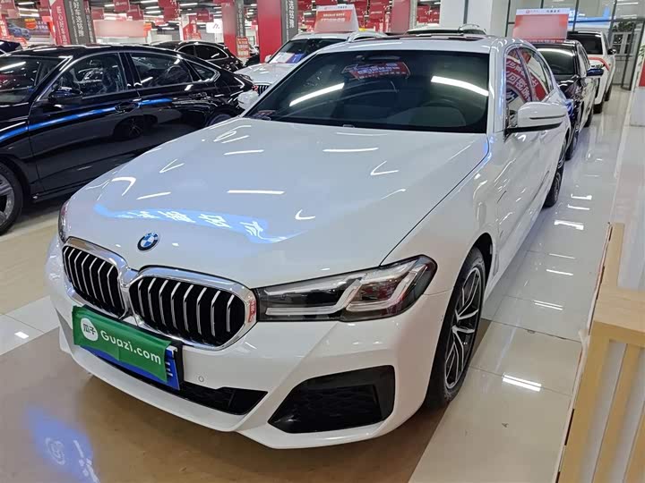 Фото 2 - BMW 5 Series Hybrid