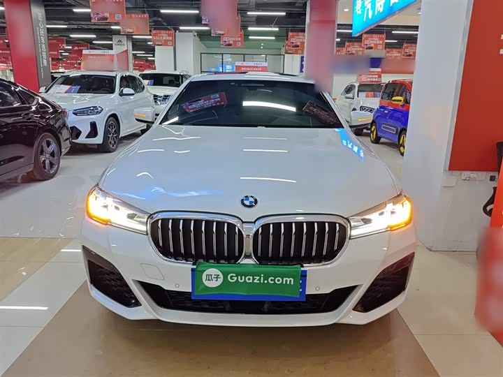 Фото 3 - BMW 5 Series Hybrid