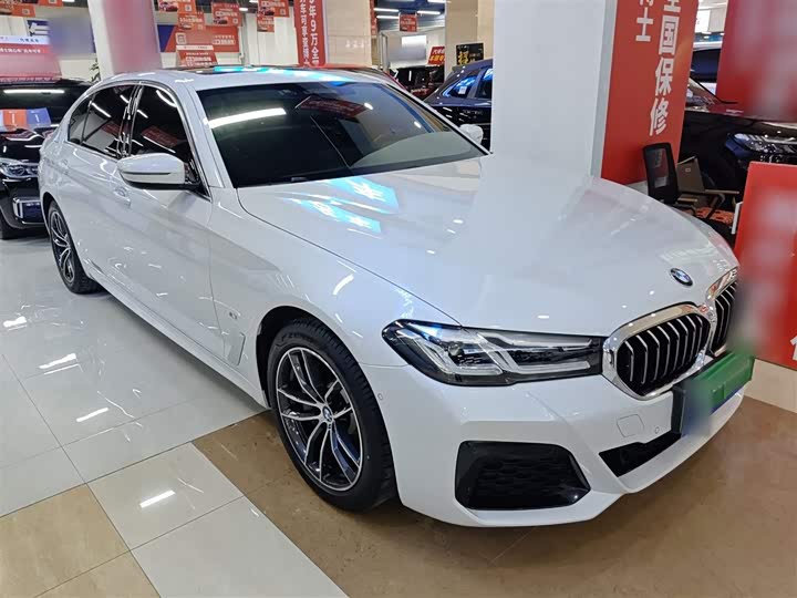 Фото 4 - BMW 5 Series Hybrid