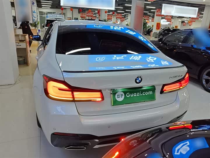 Фото 6 - BMW 5 Series Hybrid