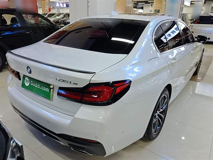 Фото 7 - BMW 5 Series Hybrid