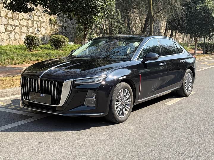 Фото 1 - Hongqi H5