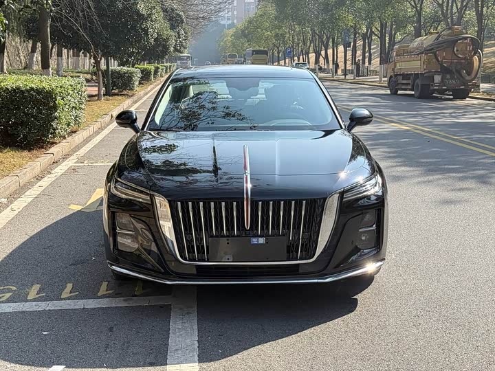Фото 2 - Hongqi H5