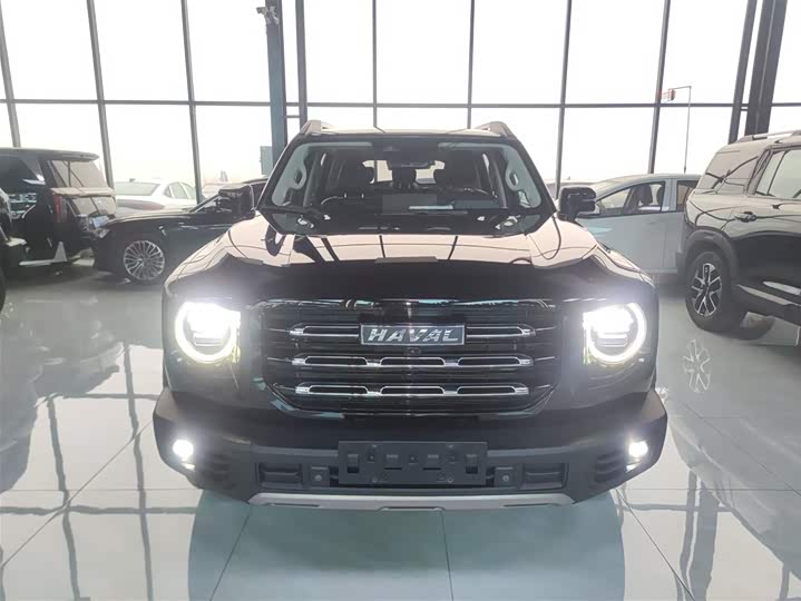 Фото 3 - Haval Dargo