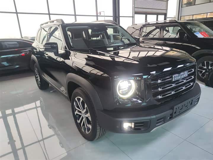 Фото 4 - Haval Dargo
