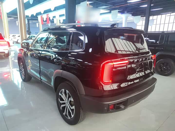 Фото 5 - Haval Dargo