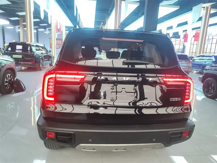 Фото 6 - Haval Dargo