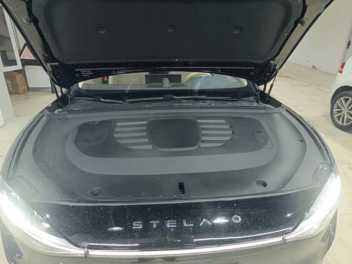 Фото 9 - Stelato S9