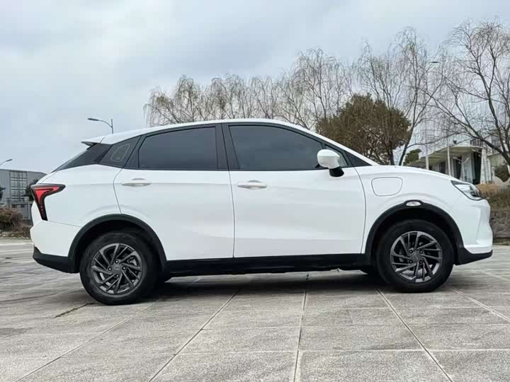 Фото 3 - Hozon V