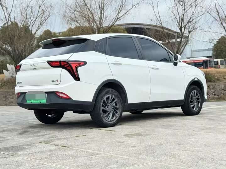 Фото 4 - Hozon V