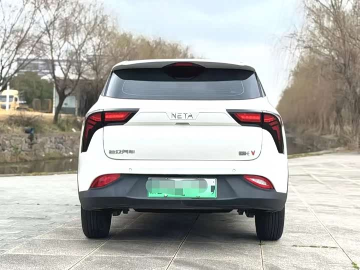 Фото 5 - Hozon V