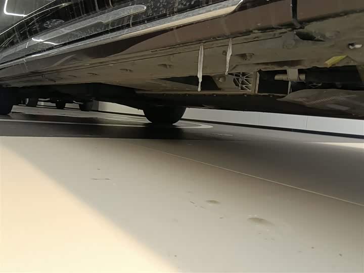 Фото 2 - Hongqi HQ9 Hybrid