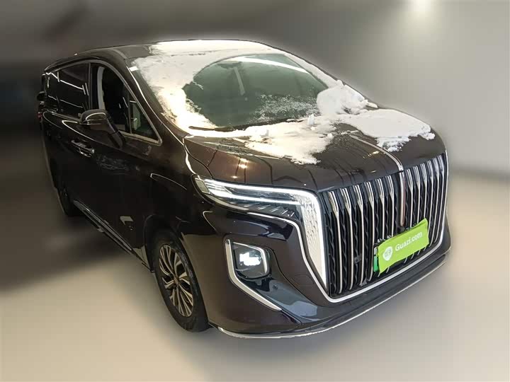 Фото 7 - Hongqi HQ9 Hybrid
