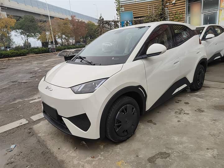 Фото 2 - BYD Seagull