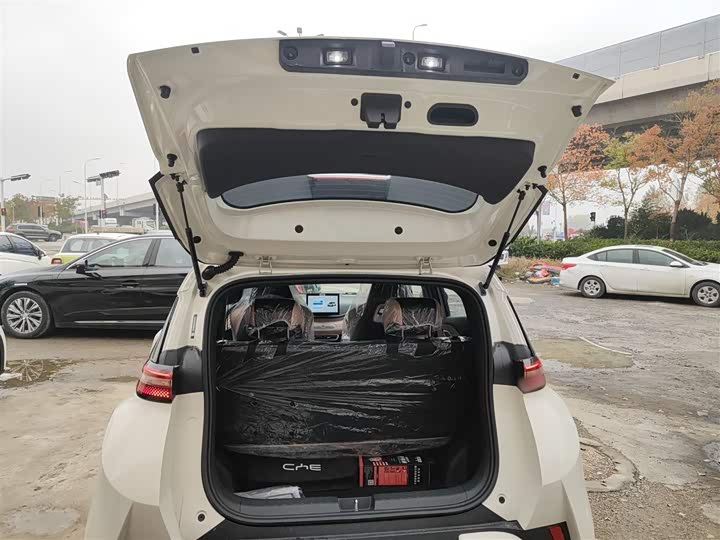 Фото 9 - BYD Seagull