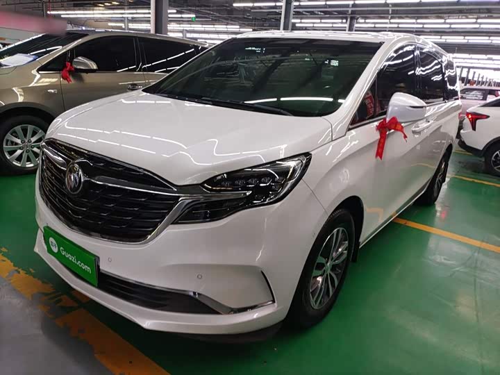 Фото 1 - Buick GL8 ES