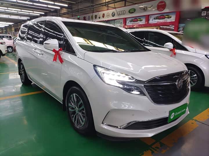 Фото 4 - Buick GL8 ES