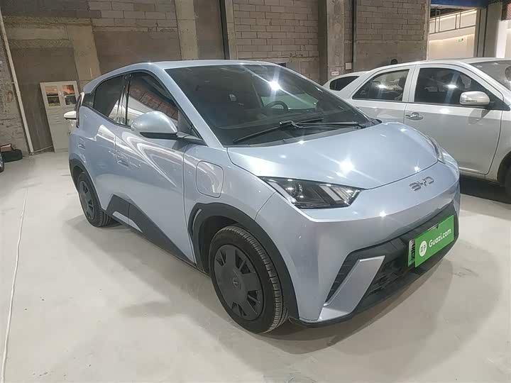 Фото 4 - BYD Seagull