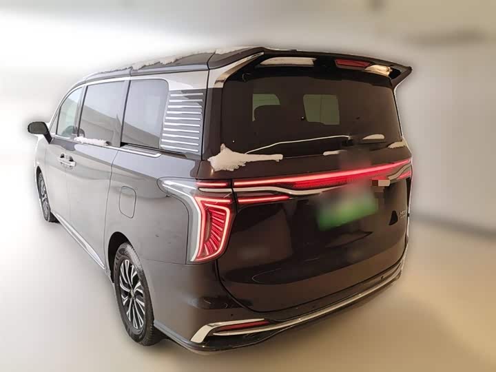 Фото 9 - Hongqi HQ9 Hybrid