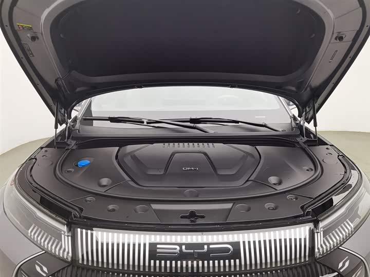 Фото 6 - BYD Frigate 07