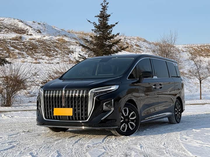 Фото 1 - Hongqi HQ9