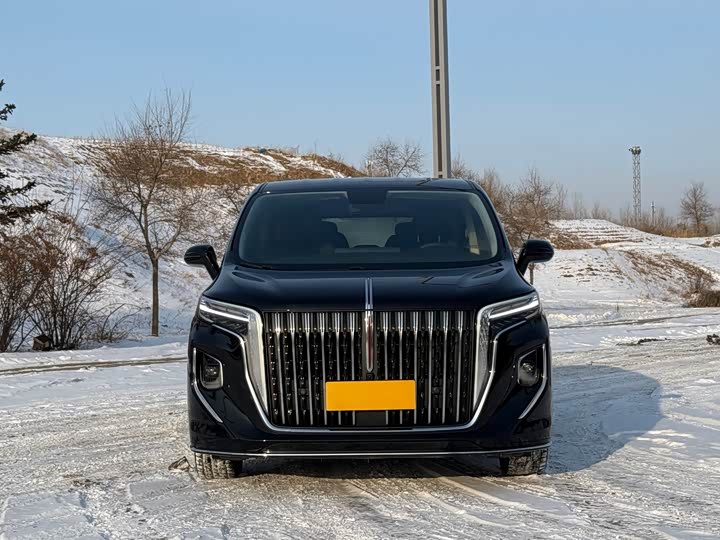 Фото 2 - Hongqi HQ9