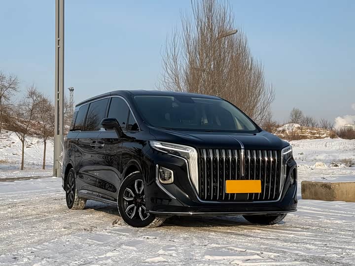 Фото 3 - Hongqi HQ9