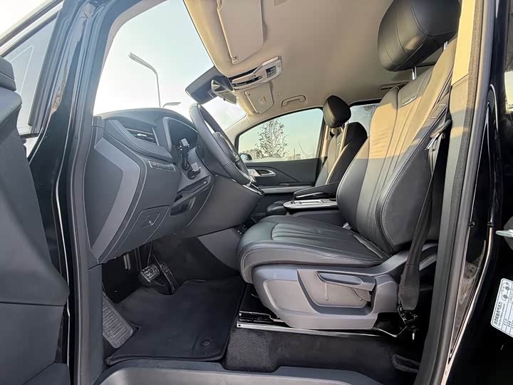 Фото 6 - Hongqi HQ9