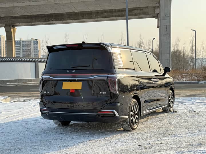 Фото 7 - Hongqi HQ9