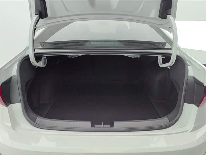 Фото 4 - Volkswagen Sagitar L