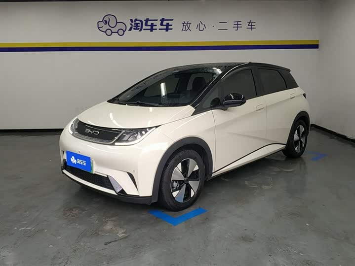 Фото 1 - BYD Dolphin