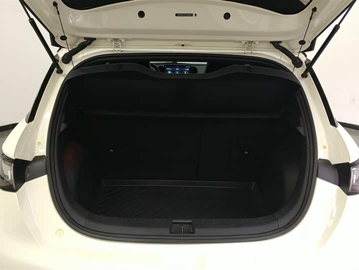 Фото 4 - BYD Dolphin