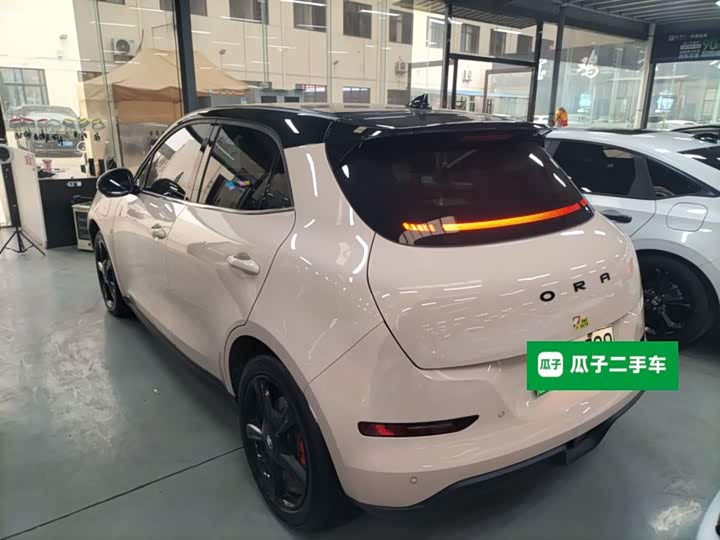 Фото 5 - Ora Good Cat (03)