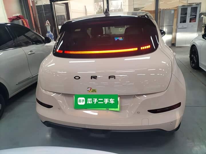 Фото 6 - Ora Good Cat (03)