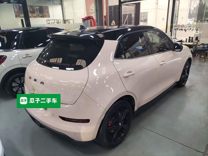 Фото 7 - Ora Good Cat (03)