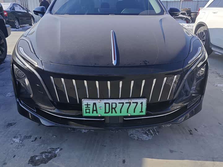 Фото 1 - Hongqi E-QM5