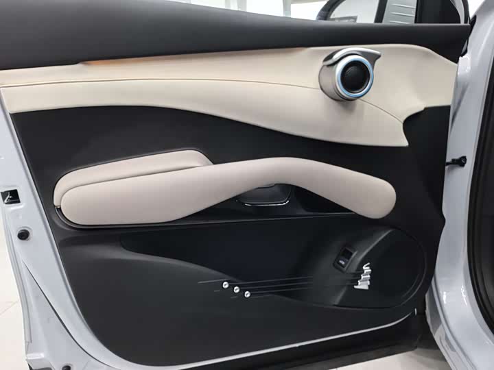 Фото 5 - BYD Yuan Plus