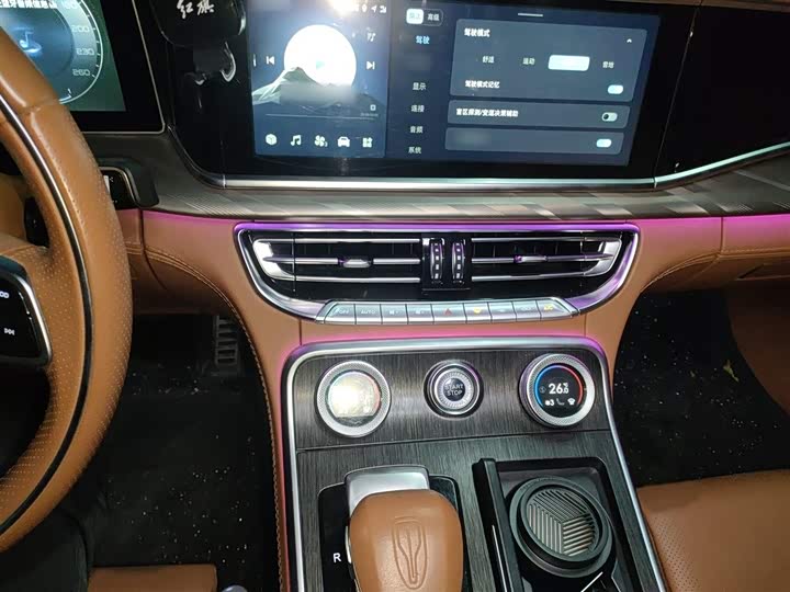 Фото 6 - Hongqi H9