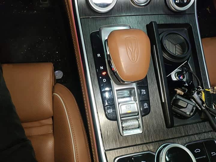 Фото 7 - Hongqi H9