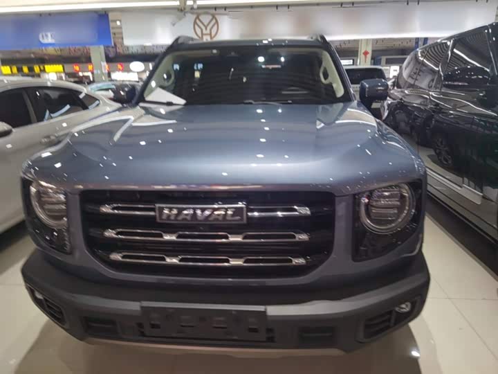 Фото 3 - Haval Dargo