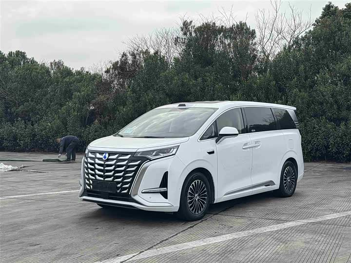 Фото 1 - Denza D9