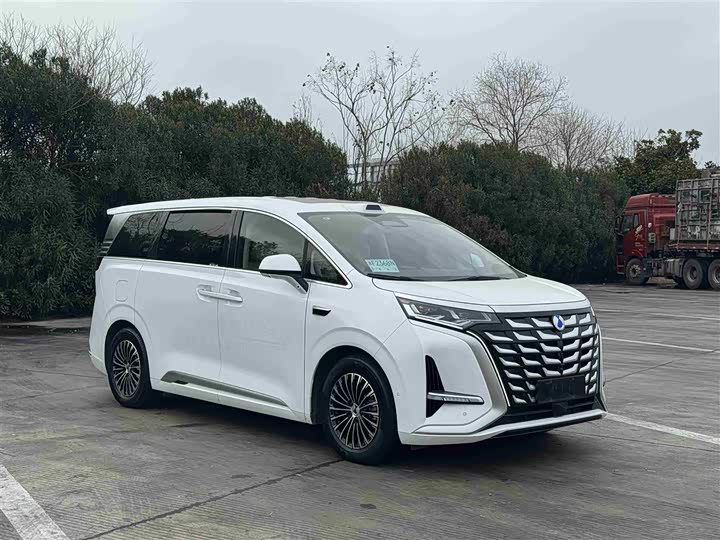 Фото 3 - Denza D9